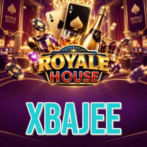 xbajee Performance